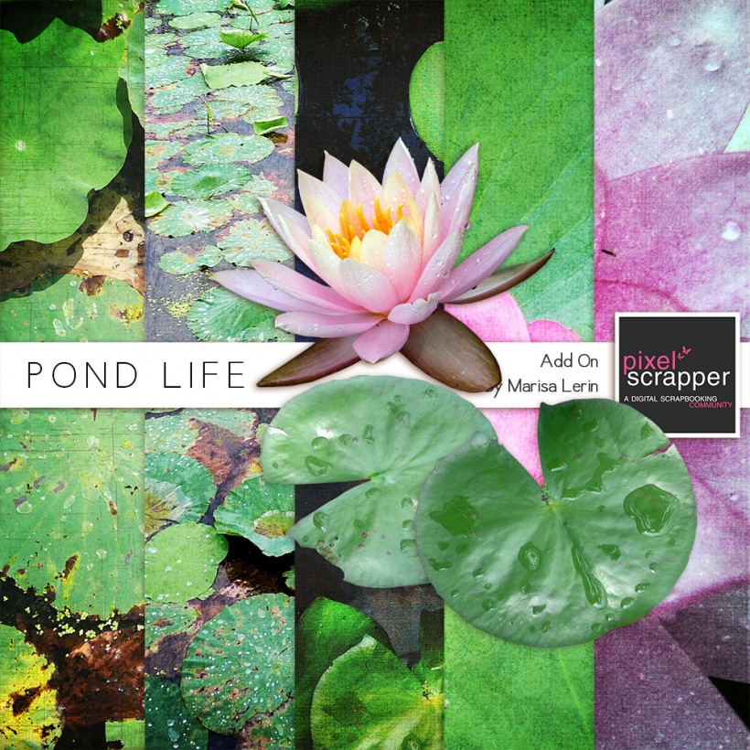 Pond Life Add-On Mini Kit photo realistic pond lilies lily pad green pink