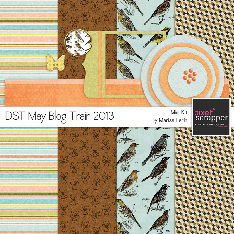 DST May 2013 Blog Train Mini Kit spring birds blue orange brown